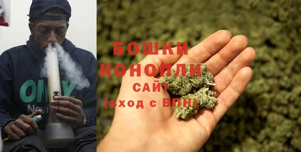прущая мука Вяземский