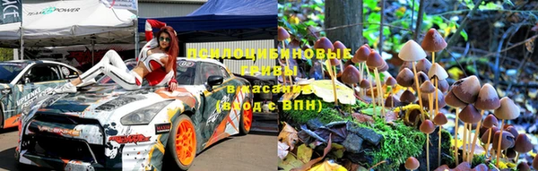 прущая мука Вяземский