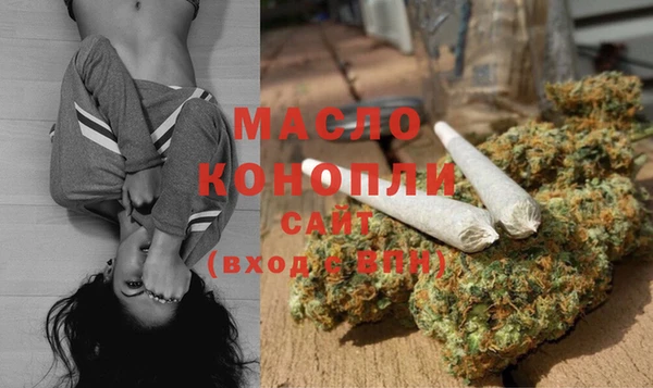прущая мука Вяземский