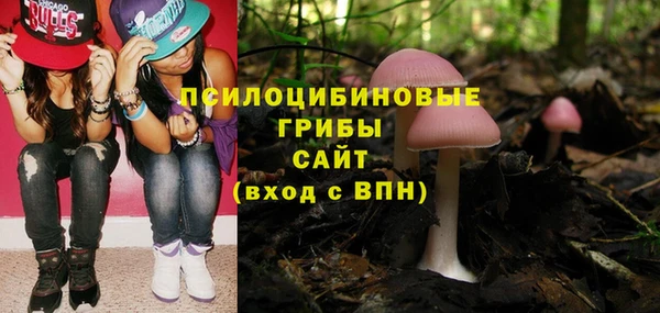 прущая мука Вяземский