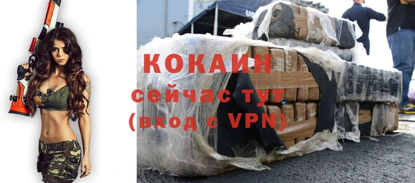 прущая мука Вяземский