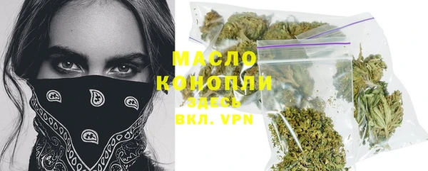 прущая мука Вяземский
